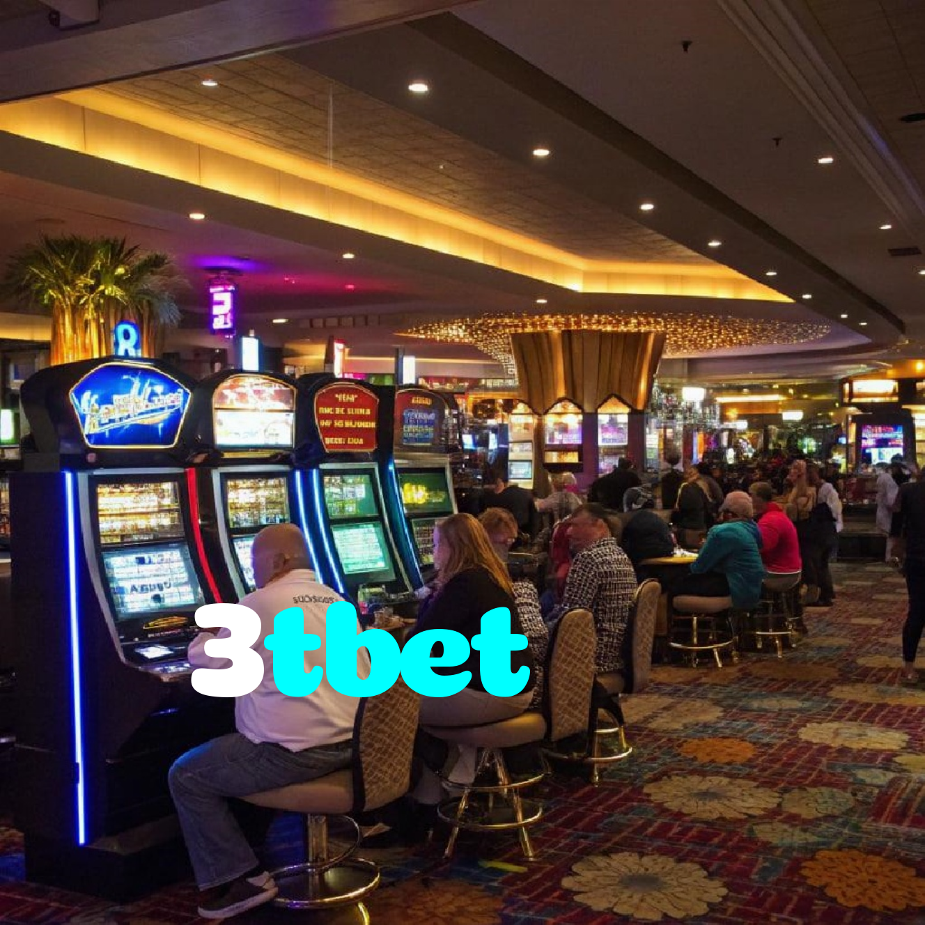 3tbet